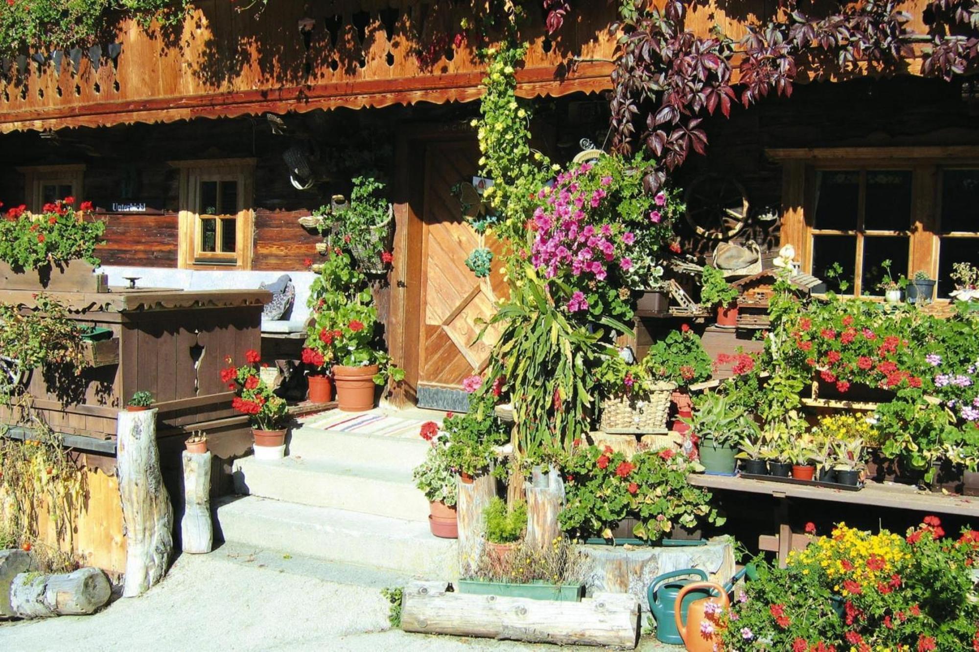 Apartments Schatzberg-Haus, Wildschoenau-Ауфах Екстериор снимка